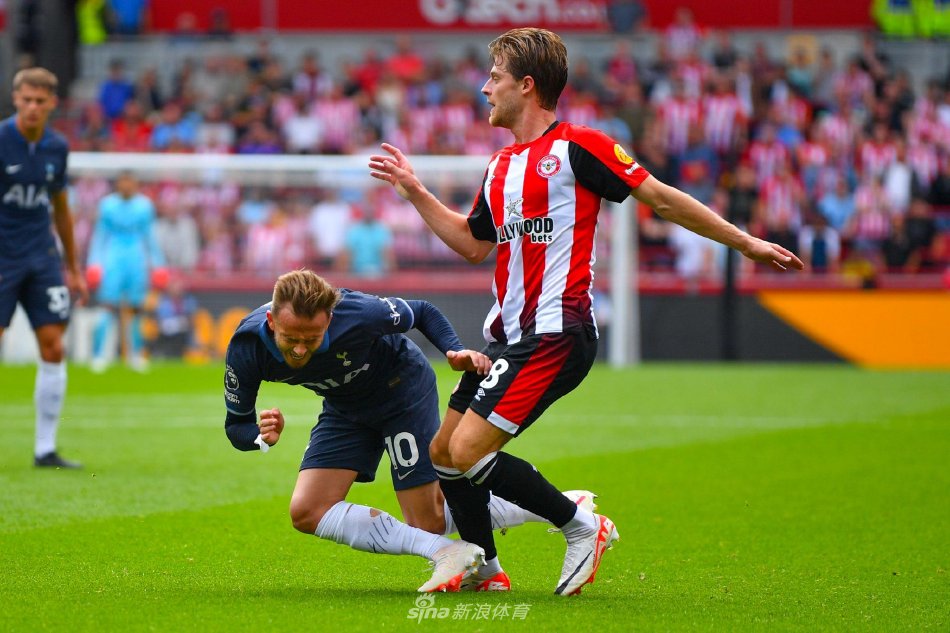 分数据化分 分数据化分